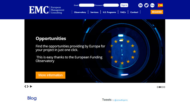 European Management Consulting